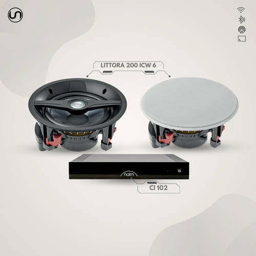 Audiophile In-Ceiling Waterproof Speaker Set