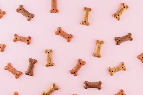 Bone shaped dog biscuits